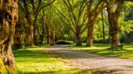 park