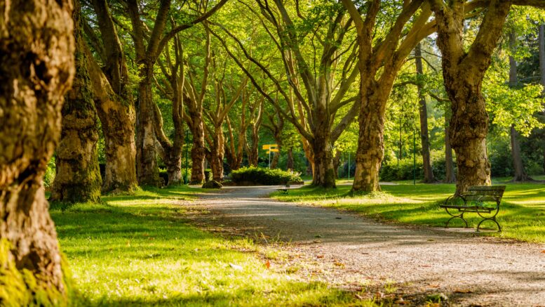 park